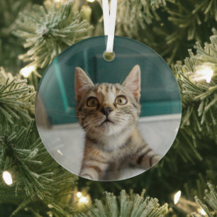 Adorno De Cristal Animales de bebé más afectados   Gatita Cuta Tabby