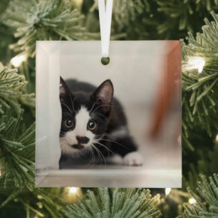 Adorno De Cristal Animales de bebé más afectados Gatito blanco y n