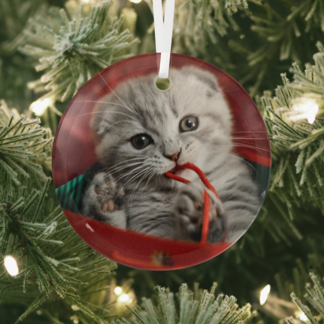 Adorno De Cristal Animales de bebé más afectados | Gatito de peluche (in situ)