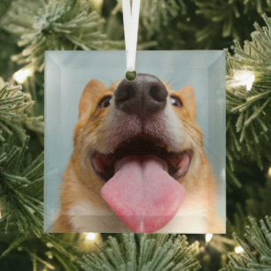 Adorno De Cristal Animales de bebé más afectados   Lengua Corgi