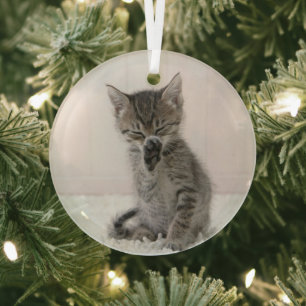 Adorno De Cristal Animales de bebé más afectados   Licor Tabby Kitte