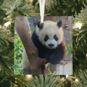 Adorno De Cristal Animales de bebé más afectados Panda Cub gigante