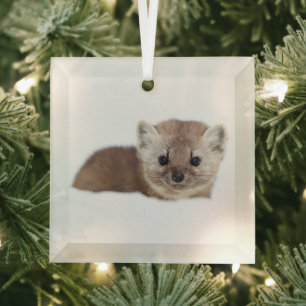 Adorno De Cristal Animales de bebé más afectados   Pine Marten