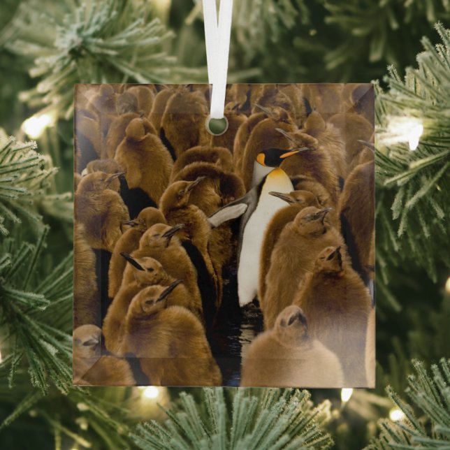 Adorno De Cristal Animales de bebé más afectados | Pingüino Entre Jó (in situ)