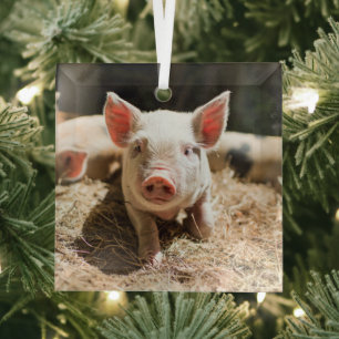 Adorno De Cristal Animales de bebé más afectados Pizarra De Bebé