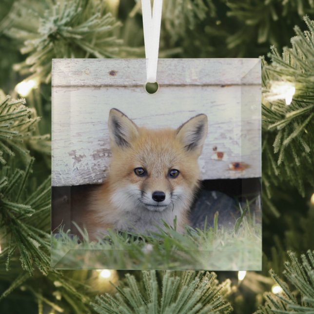 Adorno De Cristal Animales de bebé más afectados | Red Fox Kit Peeki (in situ)