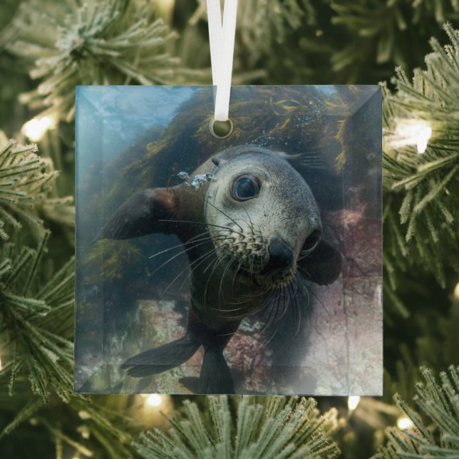 Adorno De Cristal Animales de bebé más afectados | Sello subacuático (in situ)