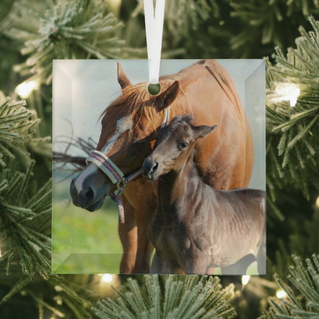 Adorno De Cristal Animales de bebé más afectados | Ternera negra con (in situ)