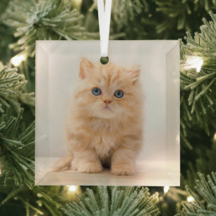 Adorno De Cristal Animales de bebé más afectados Un Gatito Británi