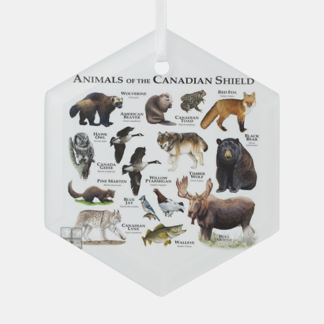 Adorno De Cristal "Animales del Escudo Canadiense". (Anverso)