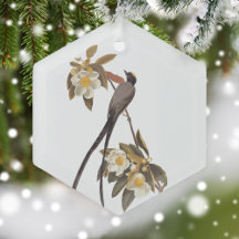 Audubon Fork Tail Flycatcher Bird Vintage Art