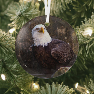 Adorno De Cristal Bald Eagle