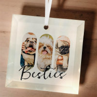 Besties Mascota Simple Modern Playful Three Photo