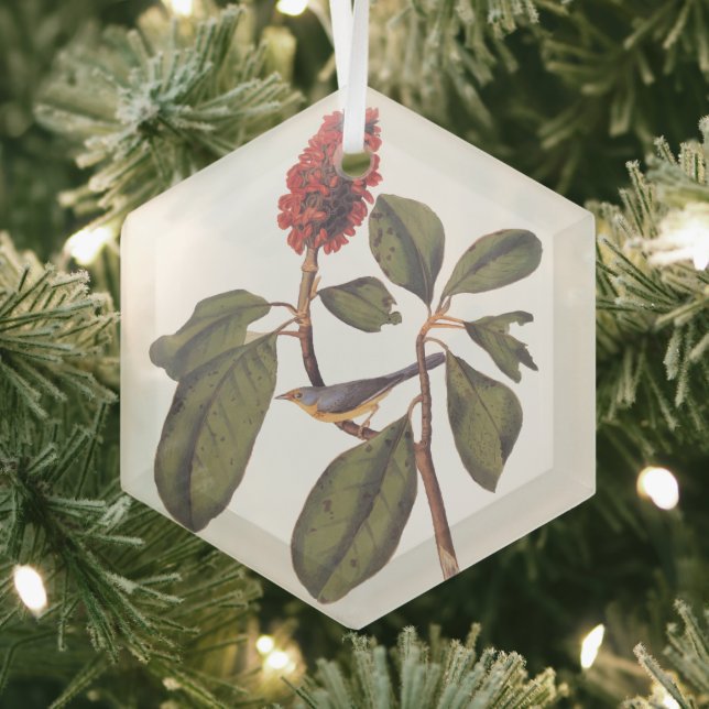 Adorno De Cristal Bonaparte Flycatcher Canada Warbler Audubon Bird (in situ)