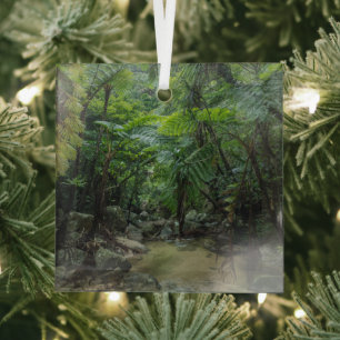 Adorno De Cristal Bosques Parque nacional Iriomote Ishigaki