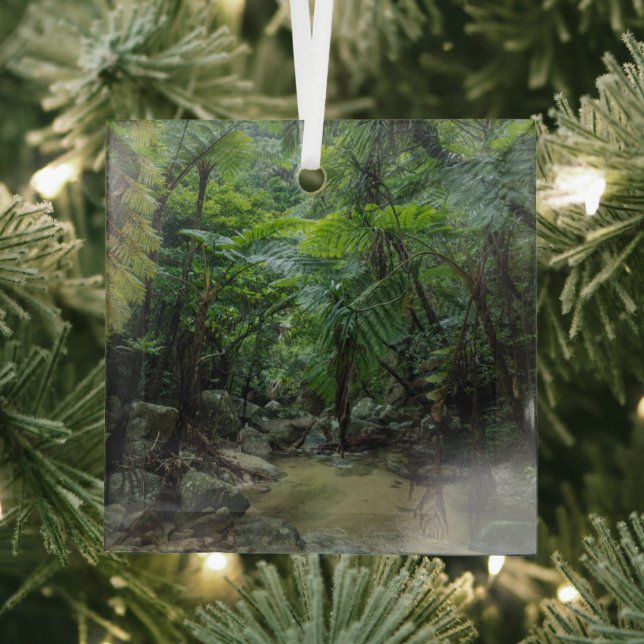 Adorno De Cristal Bosques | Parque nacional Iriomote Ishigaki (in situ)