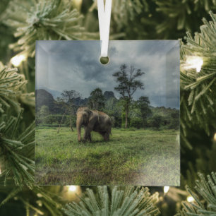 Adorno De Cristal Bosques Parque nacional Kao Sok