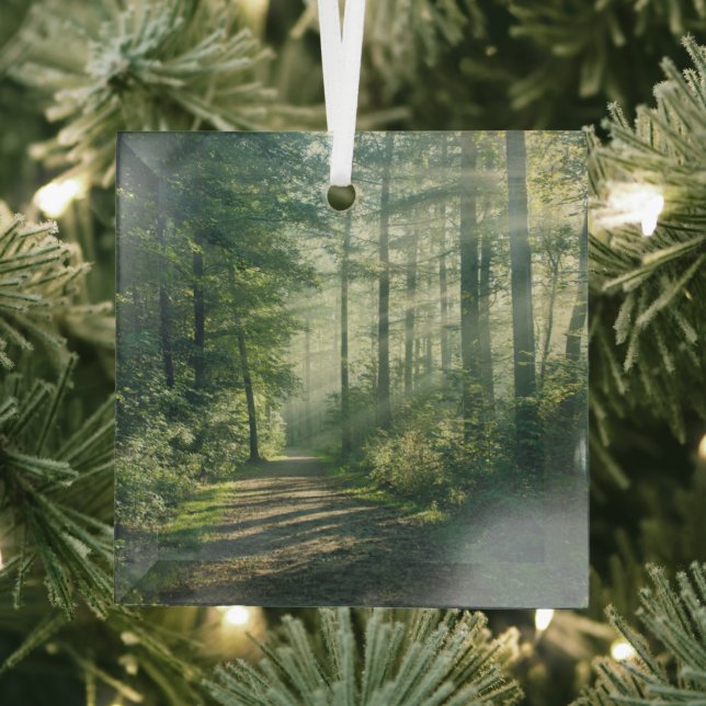 Adorno De Cristal Bosques | Ruta Forestal Hamburgo Alemania (in situ)
