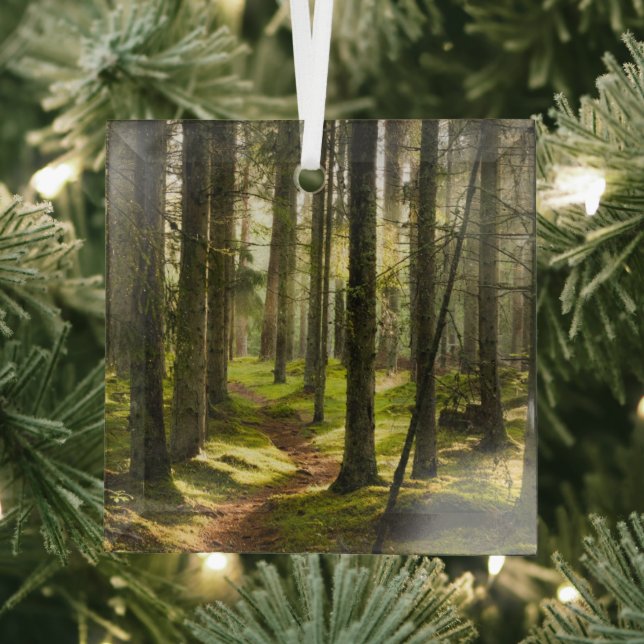 Adorno De Cristal Bosques | Selva boreal Suecia (in situ)