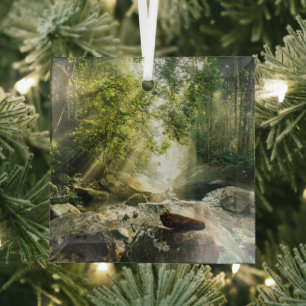 Adorno De Cristal Bosques   Selva tropical de selva