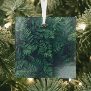 Adorno De Cristal Bosques   Woodland Ferns