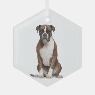 Adorno De Cristal Boxer Dog Mascota Animal Glass Ornament