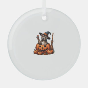 Adorno De Cristal Bruja De Calabaza Divertida De Pitbull De Hallowee