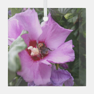 Adorno De Cristal Bumblebee en la flor de Hibiscus