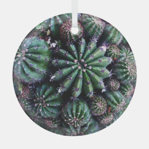 Adorno De Cristal Cactus de la huerta: Hermoso diseño de la guarderí