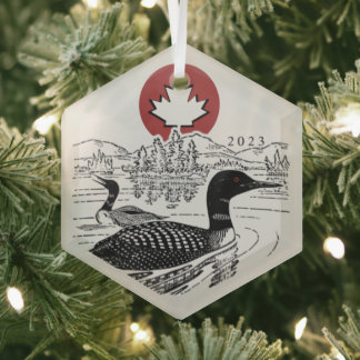 Adorno De Cristal Canoe Trails Hex Ornament 2023