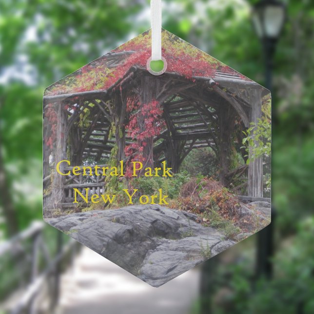 Adorno De Cristal Central Park En Nueva York (Subido por el creador)