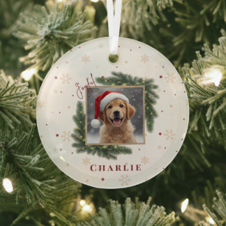 Adorno De Cristal Christmas Pet Photo – Personalized Keepsake