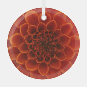 Adorno De Cristal Cierre detallado de una flor.