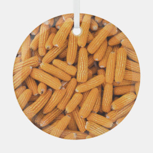 Adorno De Cristal Cob de maíz naranja: fondo de la agricultura de co