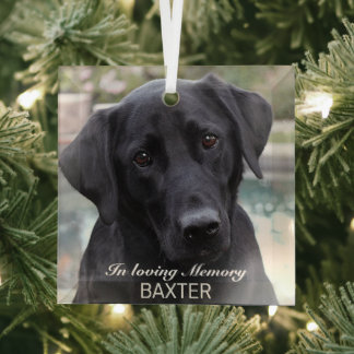 Adorno De Cristal Crear su propia foto en memoria de Mascota