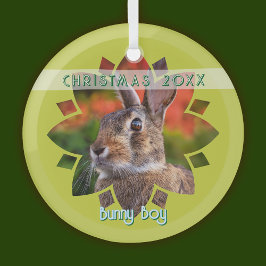 Adorno De Cristal Custom Rabbit Photo on Yellow Green