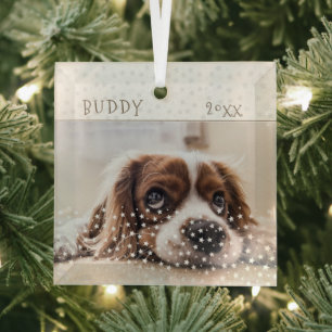 Adorno De Cristal Cute Perro Mascota Foto Estrella Patrón Navidad