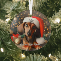 Dachshund rojo lindo con Santa Hat