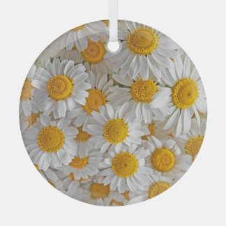 Adorno De Cristal Daisies blancos: Hermoso fondo floral