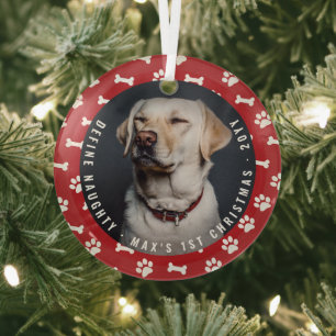 Adorno De Cristal Define Naughty Photo Funny Mascota Primera Navidad