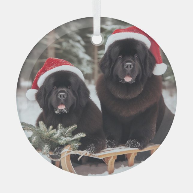 Adorno De Cristal Dos Newfs negros sobre una espoleta (Anverso)