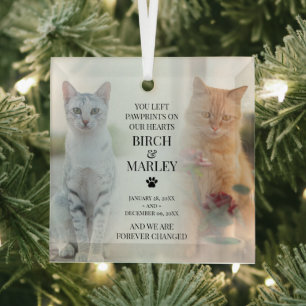 Adorno De Cristal Elegante recuerdo de 2 gatos para foto