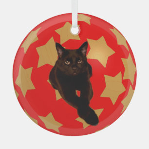 Adorno De Cristal Estrellas de oro en rojo con foto de gato negro