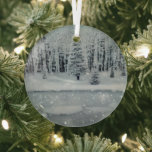Adorno De Cristal Ethereal 3D Look Winter Scenter Glass Ornament<br><div class="desc">La hermosa escena de invierno en 3D brillará y reflejará sus luces y complementará su árbol de Navidad y el resto de su casa de vacaciones. Colores hermosos e intensos.</div>