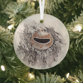 Adorno De Cristal Eye of the octopus – Gaze Collection