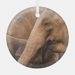 Adorno De Cristal Familia Elefante: Vida silvestre majestuosa