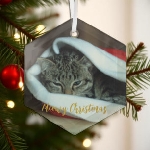 Adorno De Cristal Feliz Navidad Gatito