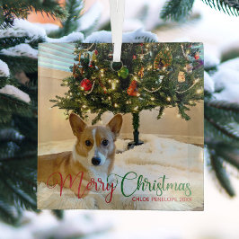 Adorno De Cristal Feliz Personalizado de Navidad Mascota Foto Perro 