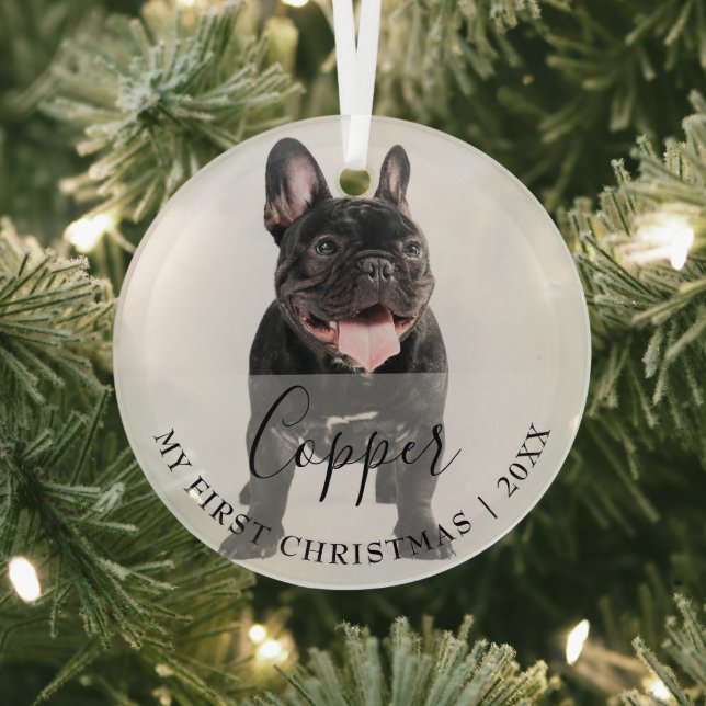 Adorno De Cristal First Christmas Pet Photo Script Name Ornament (in situ)