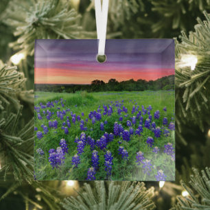 Adorno De Cristal Flores   Bluebonnets en Sunset Texas